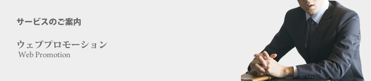 ウェブプロモーション